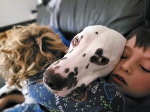 Een jongetje knuffelt met dalmatiër Toby op de bank