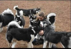 Sharon zit op de grond met zeven husky's om haar heen