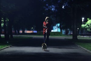 Een vrouw die in het donker haar hond uitlaat