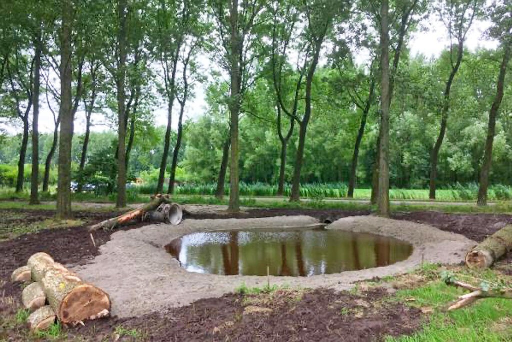 Een plasje water met boomstronken voor honden om te spelen in Park Hitland