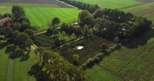 Een top view van een natuurlijke omgeving