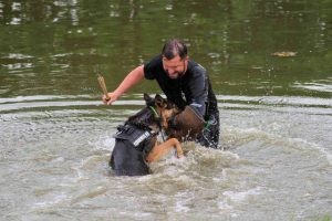 Peter traint zijn hond in het water