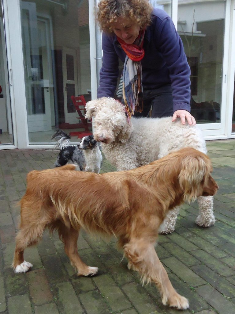 Pieternel met haar drie opgevangen honden