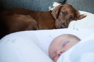 Een baby die in een bedje ligt terwijl de hond daarachter ligt