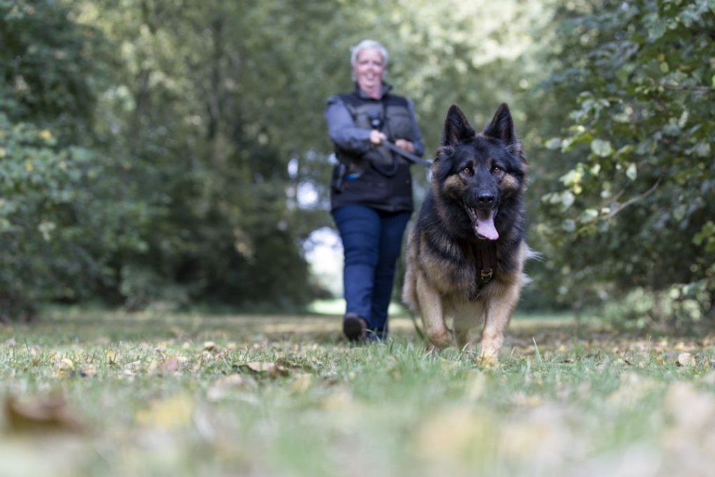 Janie loopt met haar speurhond over een grasveld