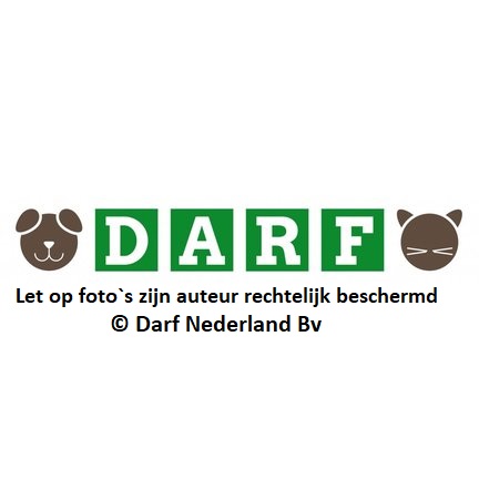 copyright
